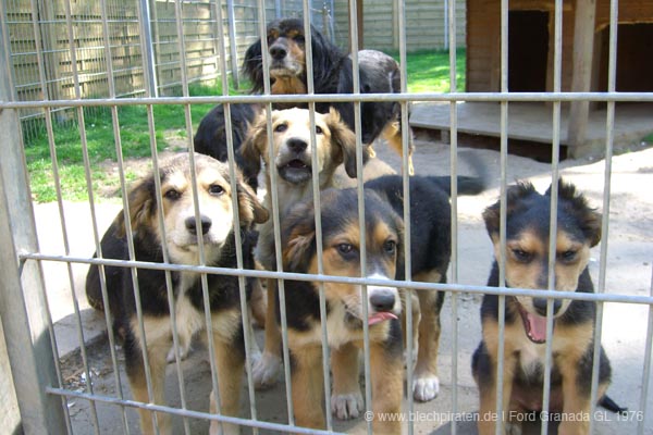 2008-05-10_14-37-29_Granni