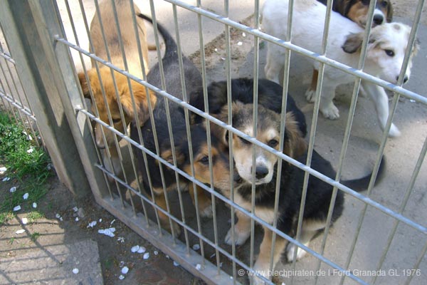 2008-05-10_14-37-54_Granni