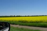 2008-05-10_13-16-10_Granni